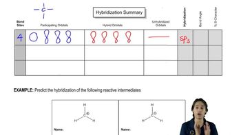 Using bond sites to predict hybridization