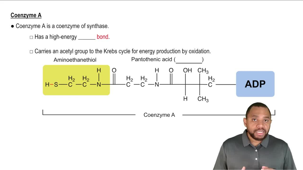 Coenzyme A Concept 5