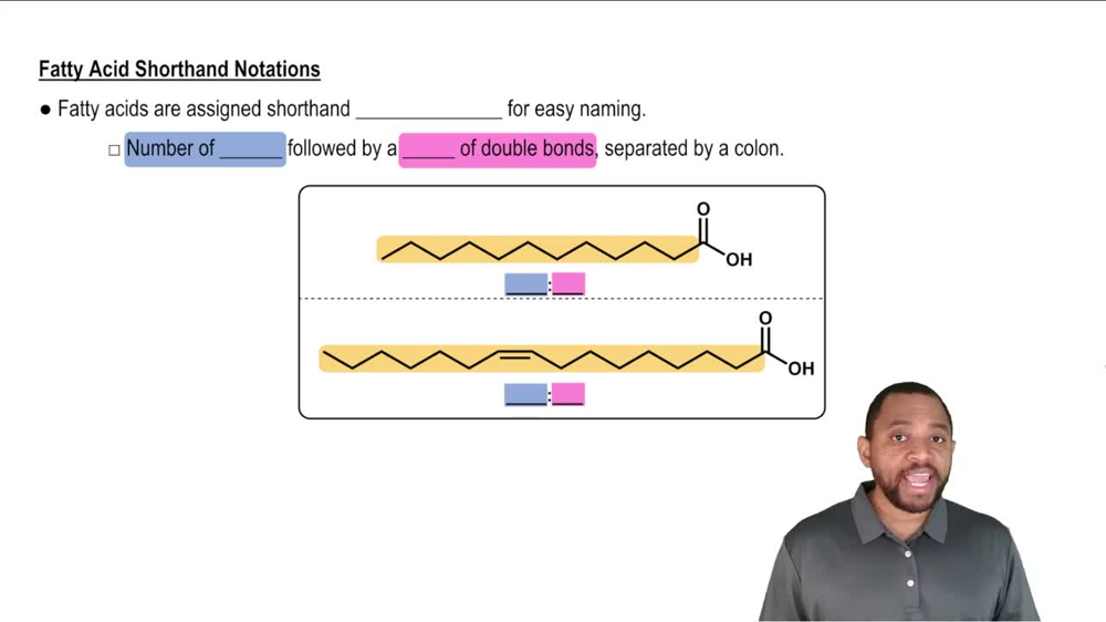 Fatty Acids Concept 3