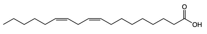 fatty acid