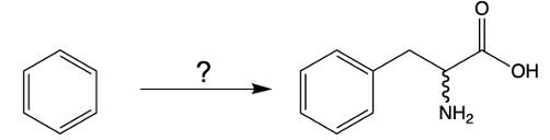 benzene to phenylalanine reaction