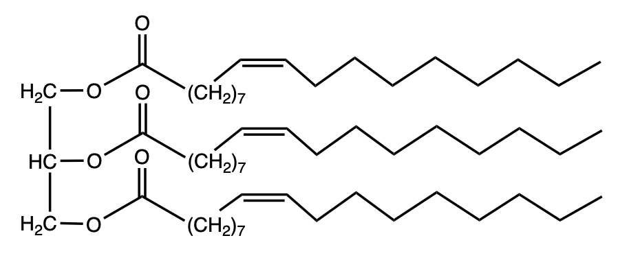 triacylglycerol