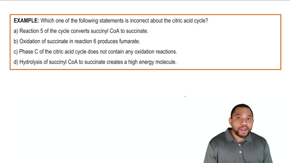 The Citric Acid Cycle Example 3