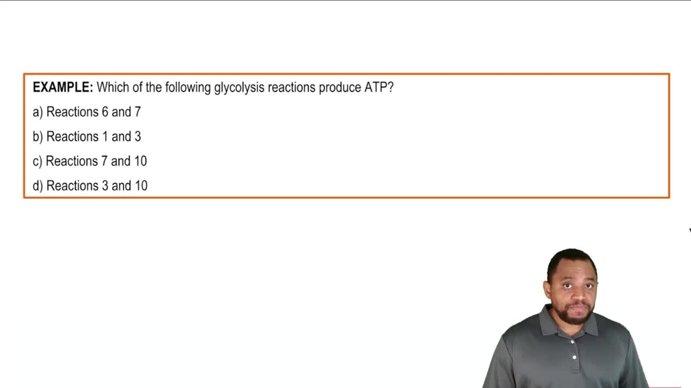 Glycolysis Summary Example 1