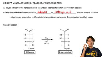 Monosaccharides - Weak Oxidation (Aldonic Acid)