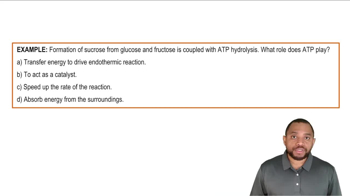 Coupled Reactions Example 2