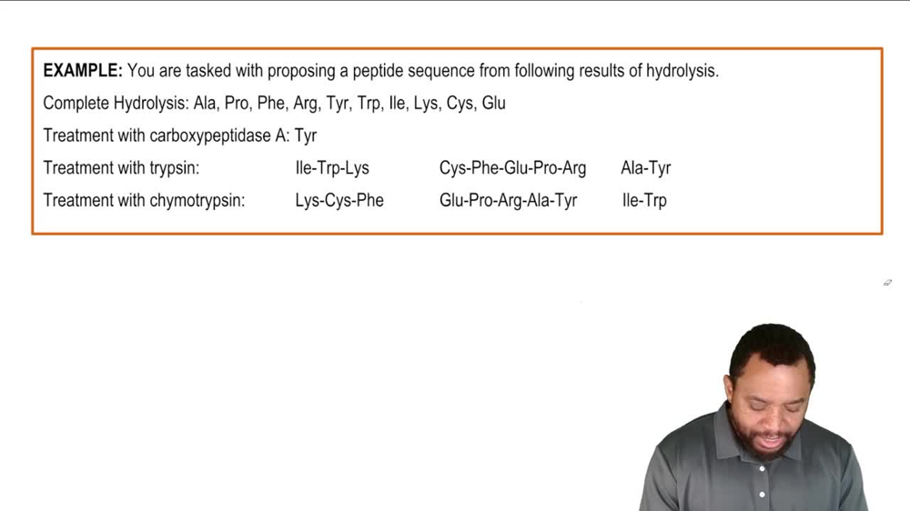 Peptide Sequencing: Partial Hydrolysis Example 4