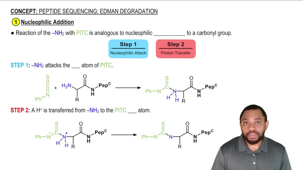 Peptide Sequencing: Edman Degradation Concept 2