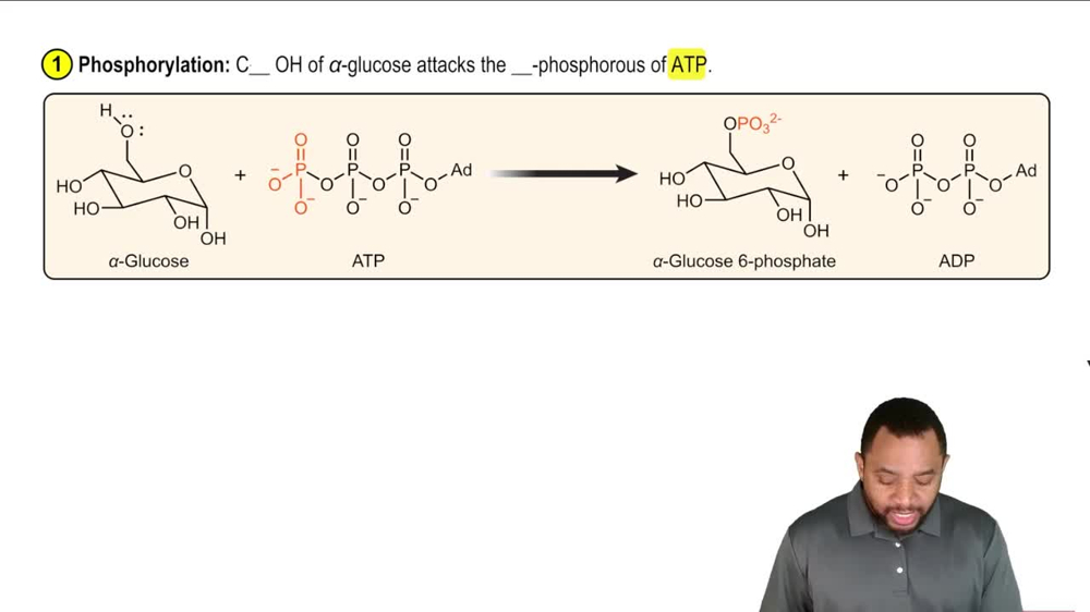 Glycolysis Reaction 1