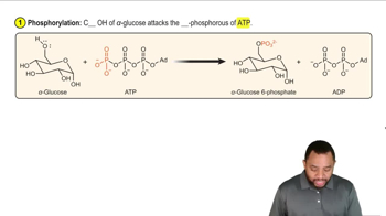 Glycolysis Reaction 1