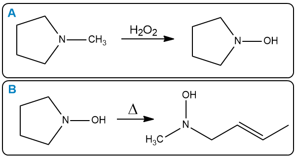 Reaction A shows amine with hydrogen peroxide; B shows product after heating.