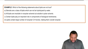 Intro to Lipids Example 1
