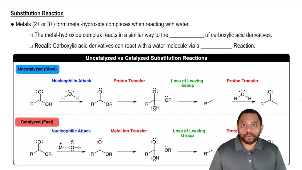 Metal Ion Catalysis: Water Activation Concept 2