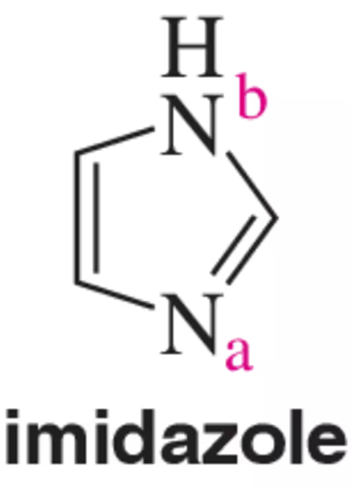 Chemical structure of imidazole with labeled nitrogen atoms a and b, highlighting potential basic sites for proton addition.