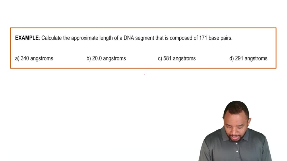DNA Double Helix Example 2