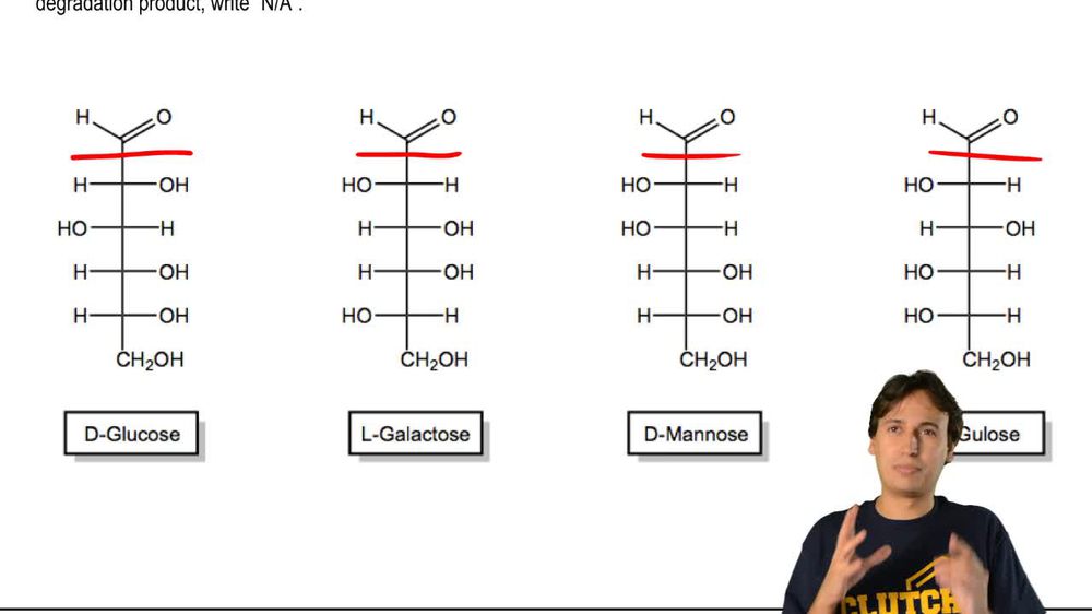 Which aldohexoses produce the same Wohl Degradation product