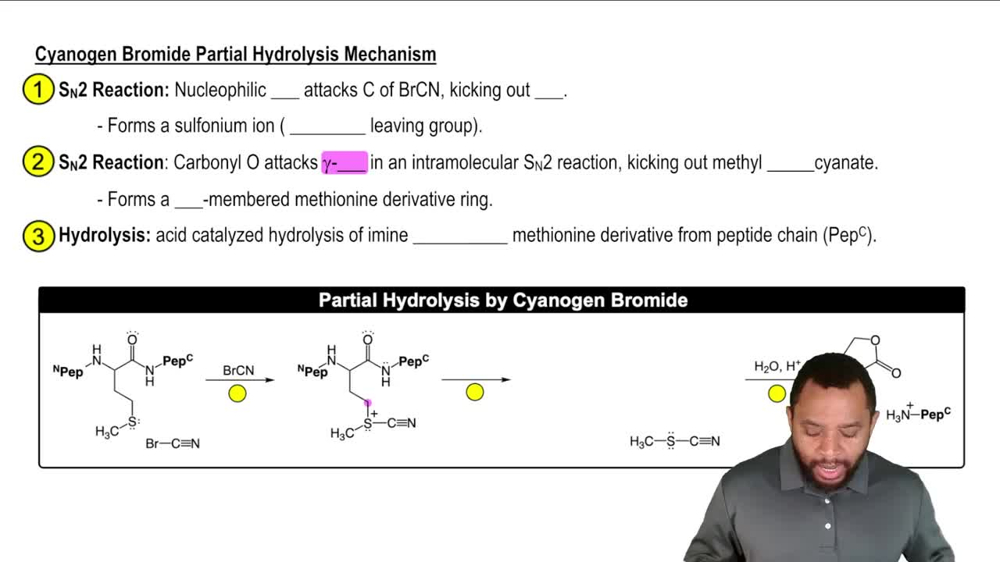 Peptide Sequencing: Partial Hydrolysis with Cyanogen Bromide Concept 2