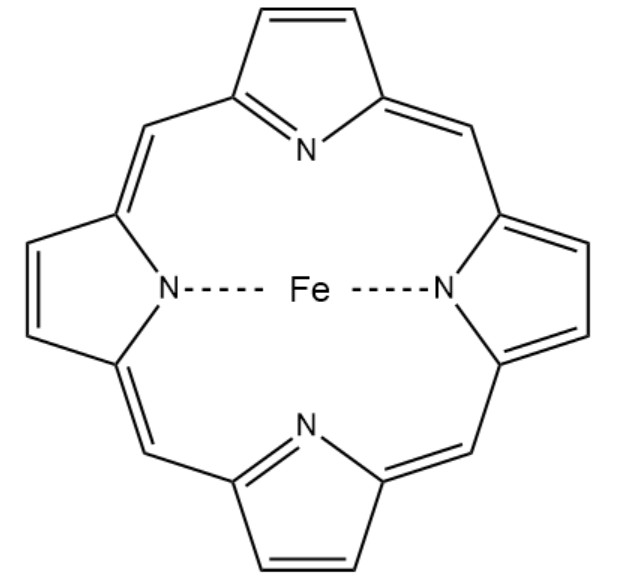 <IMAGE>