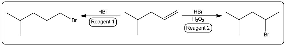 Illustration of haloalkane formation using HBr and H2O2, with reagents and alkene shown.