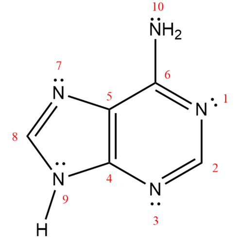 <IMAGE>