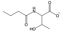 structure of an amide