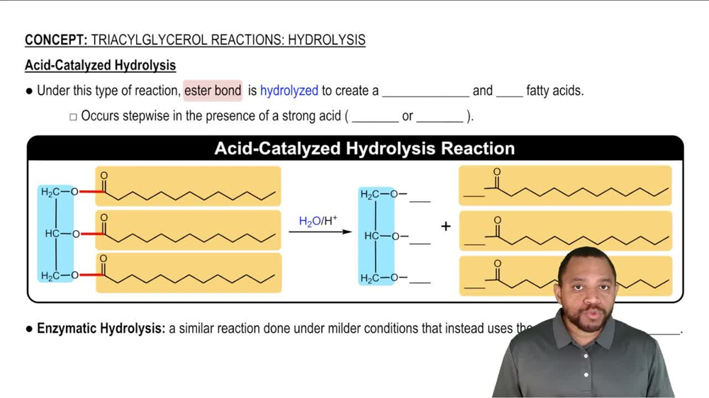 Triacylglycerol Reactions: Hydrolysis Concept 3