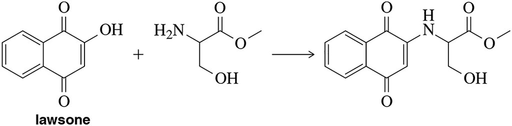 Chemical reaction showing lawsone reacting with an amino acid, illustrating the mechanism for henna tattoo coloration.