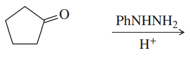 Cyclopentanone structure with phenylhydrazine and acid catalyst indicated for nucleophilic addition reaction.