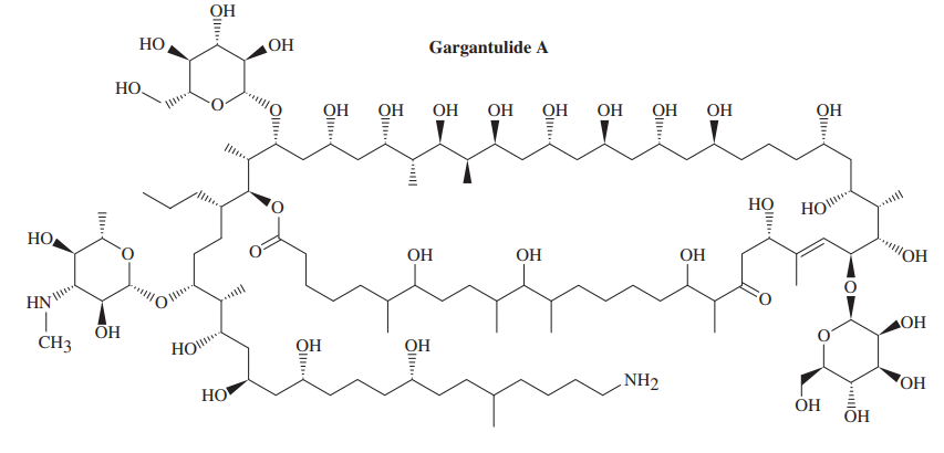 Chemical structure of Gargantulide A, a macrolide antibiotic with multiple hydroxyl groups and a large ring lactone.