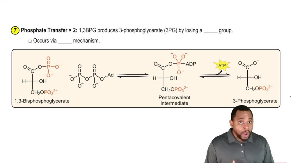 Glycolysis Reaction 7