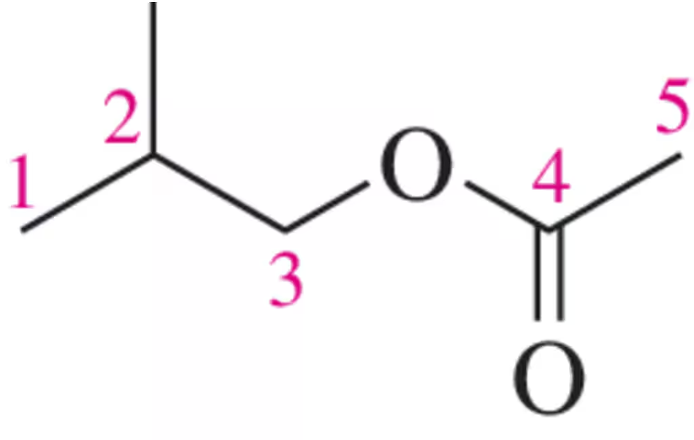 Molecule structure with numbered carbon atoms 1 to 5, showing an ester functional group between C3 and C4.