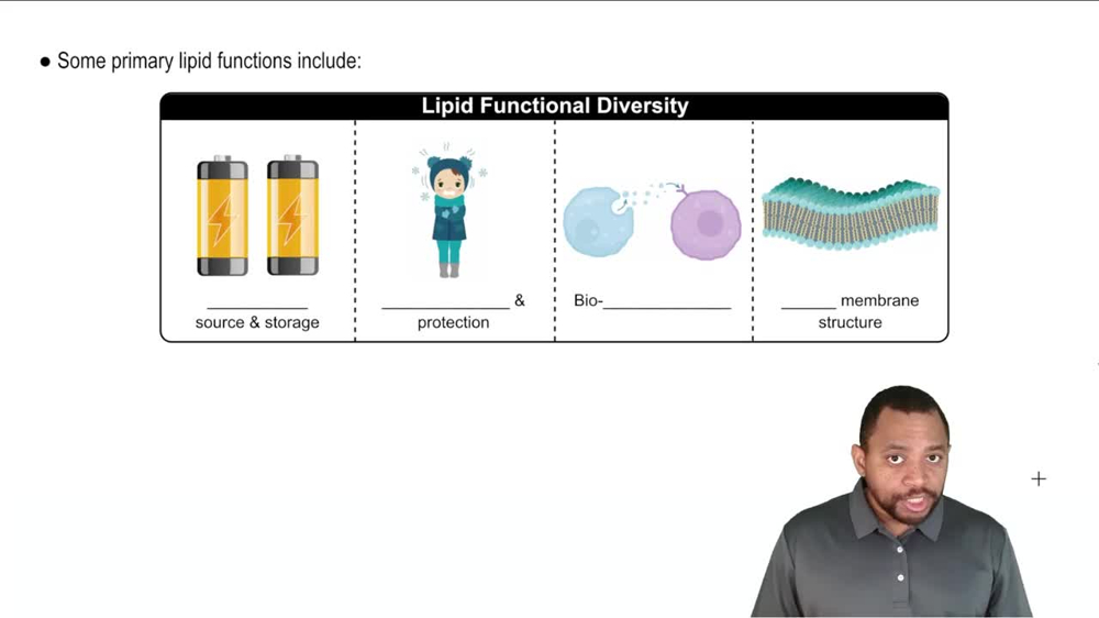 Intro to Lipids Concept 2