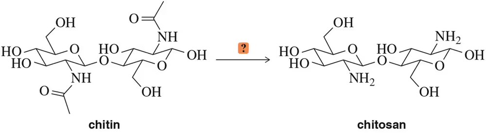 Chemical structures of chitin and chitosan with a question mark indicating a proposed reaction for conversion.