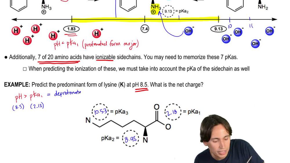 Predicting Predominant Form of Lysine