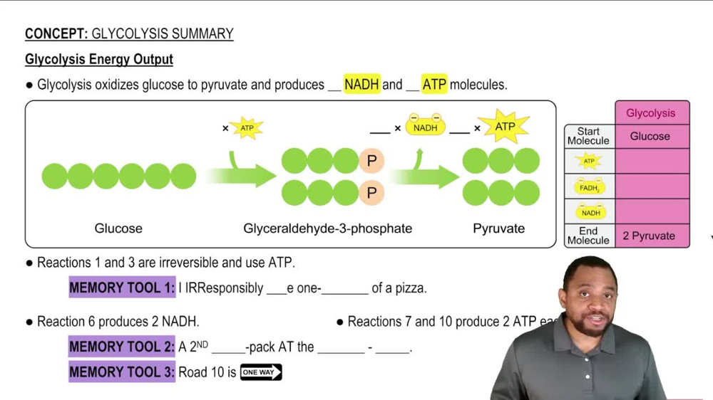 Glycolysis Summary Concept 1