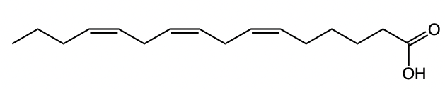 fatty acid