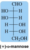 Structural representation of (+)-D-mannose, showing its hydroxyl groups and aldehyde functional group.
