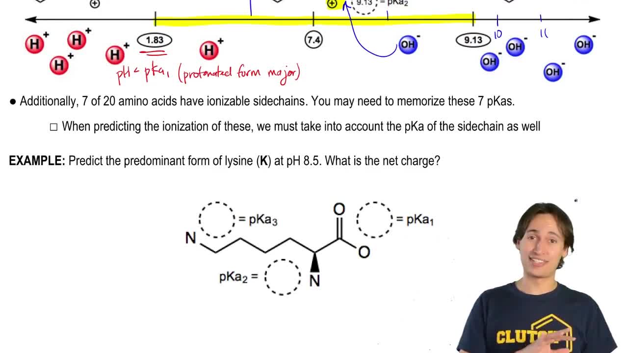 The 7 Ionizable Amino Acids