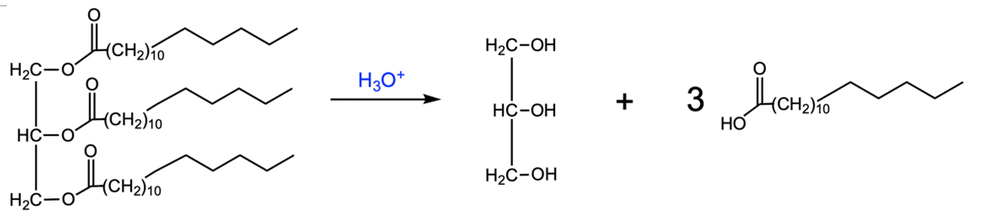 hydrolysis reaction