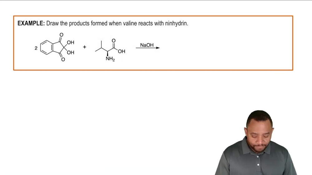 Reactions of Amino Acids: Nihydrin Test Example 1