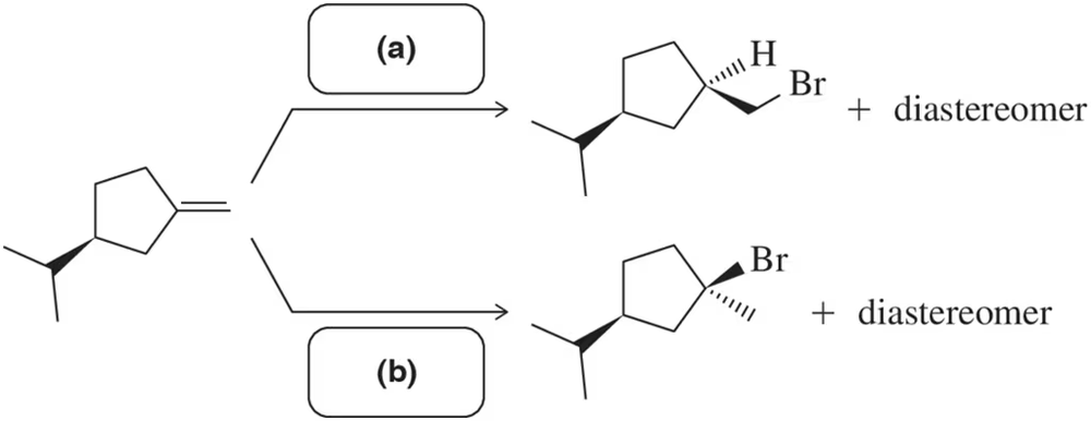 Alkene reacts to form two bromoalkane diastereomers under conditions (a) and (b), showing hydrohalogenation pathways.