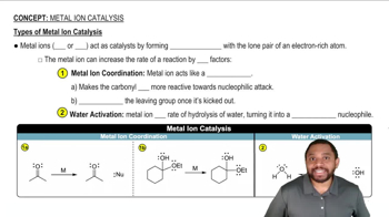 Metal Ion Catalysis Concept 1