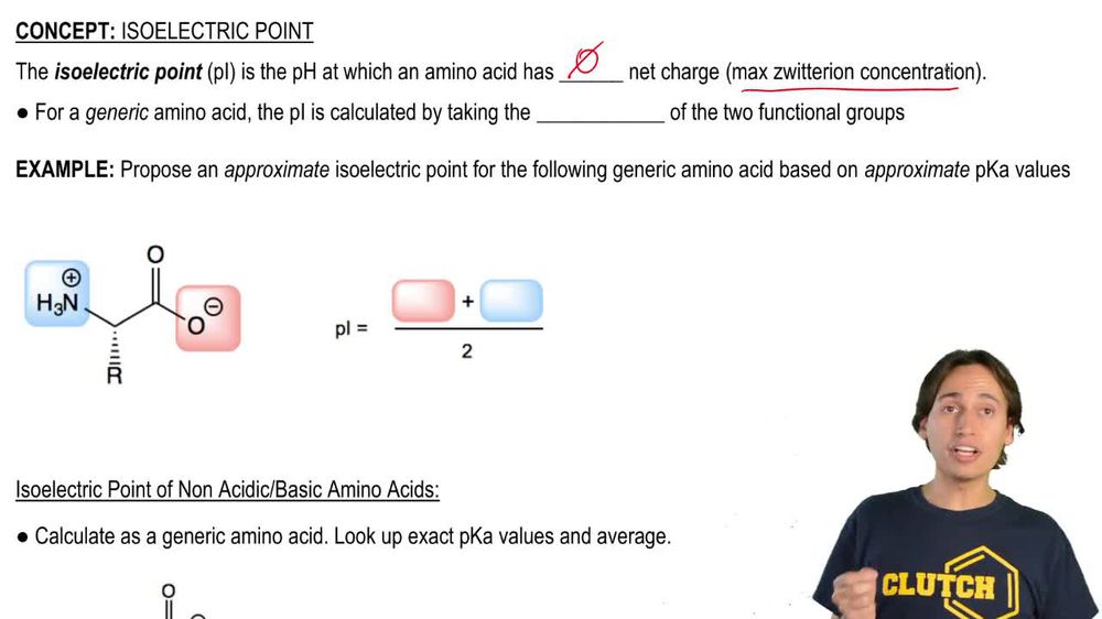 Definition of Isoelectric Point