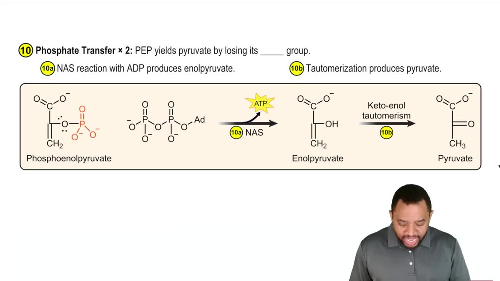Glycolysis Reaction 10
