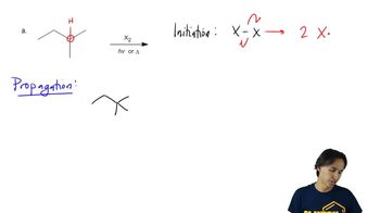 Show the entire chain reaction mechanism.