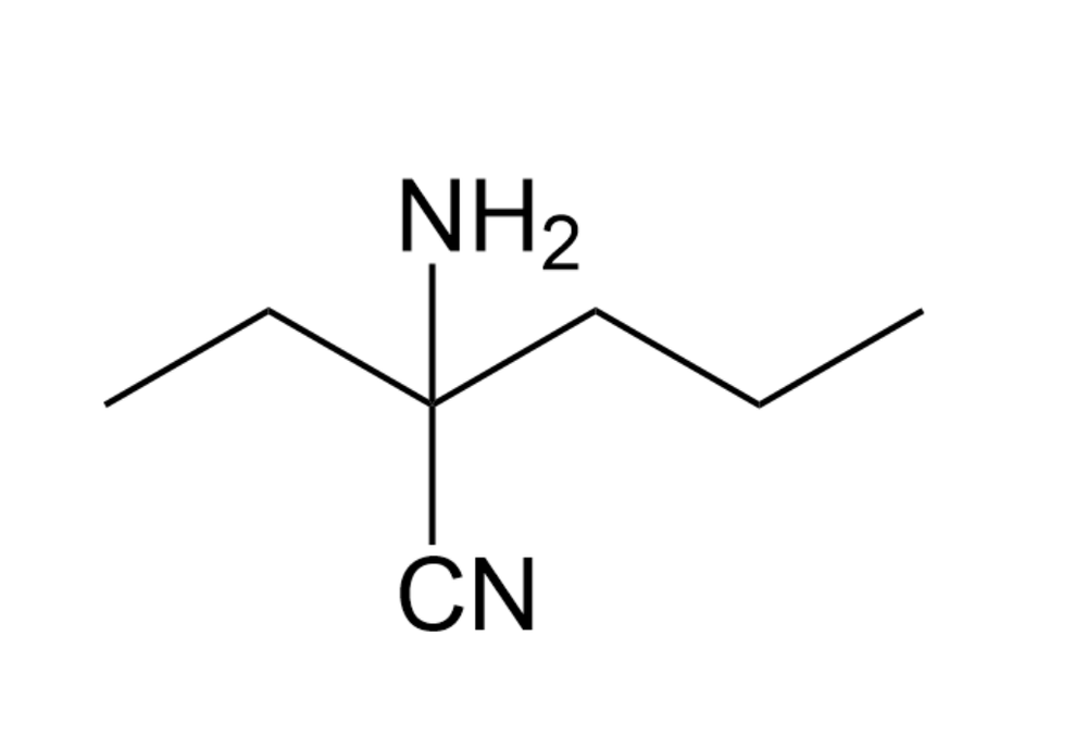 <IMAGE>