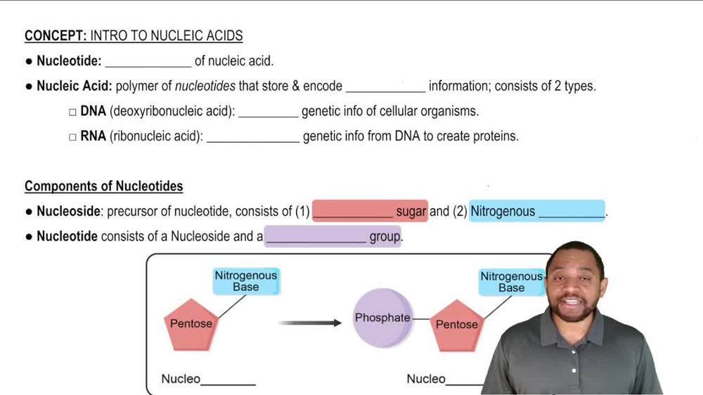 Intro to Nucleic Acids Concept 1