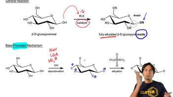 Base-Promoted Mechanism