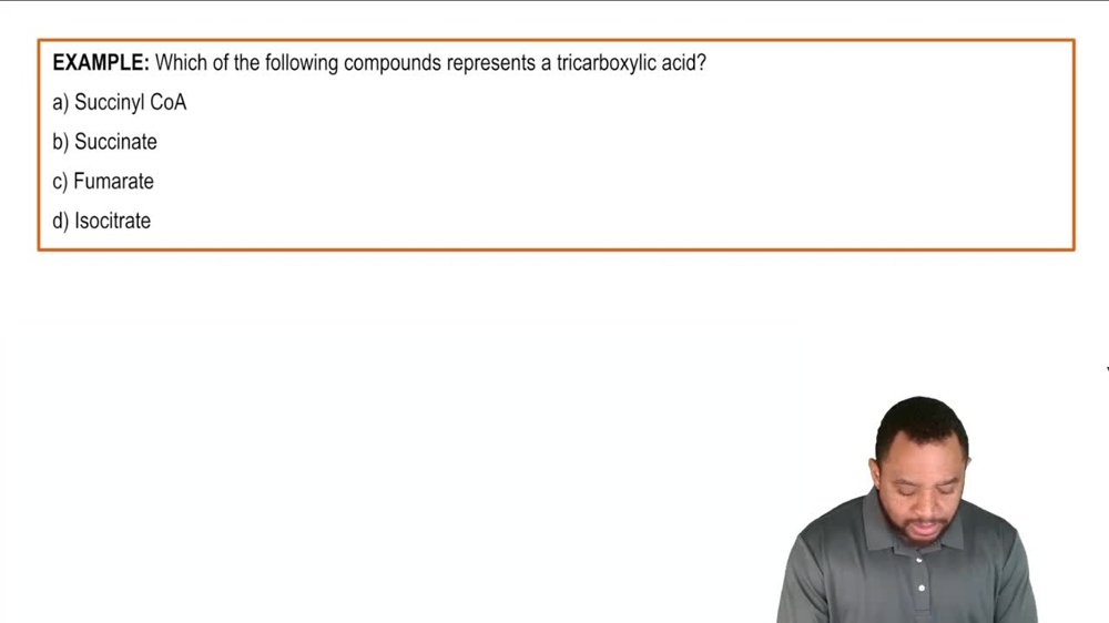 Oxaloacetate Regeneration Example 3