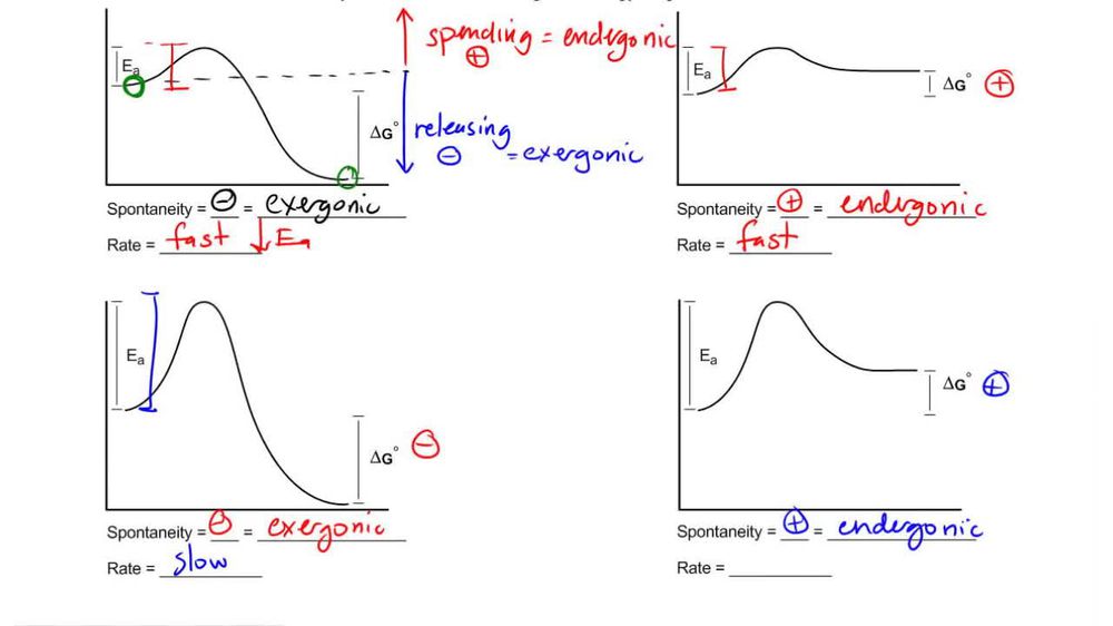 Favorability and rate of Free Energy Diagrams